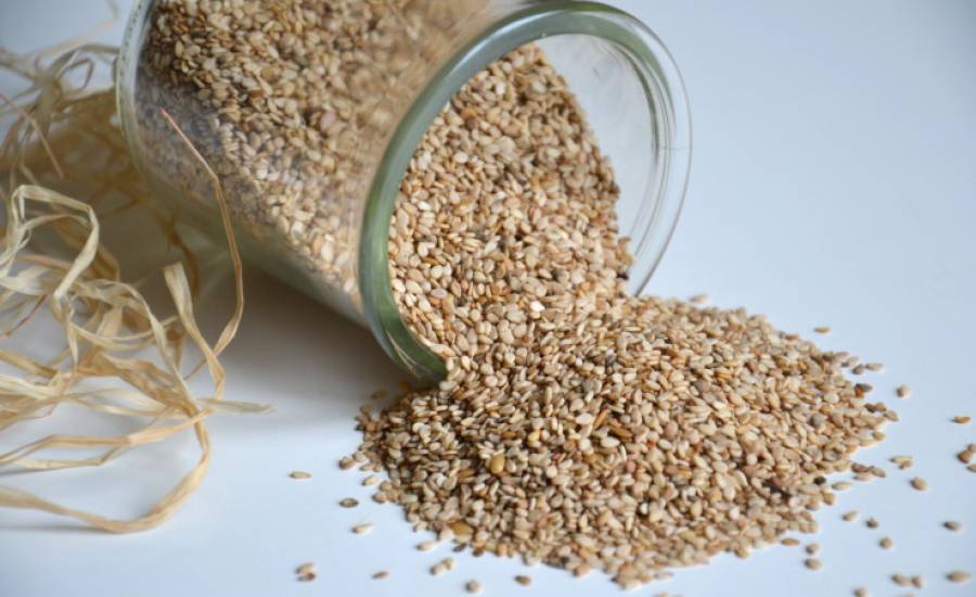 TounsiaNet : Les bienfaits des graines de sésame